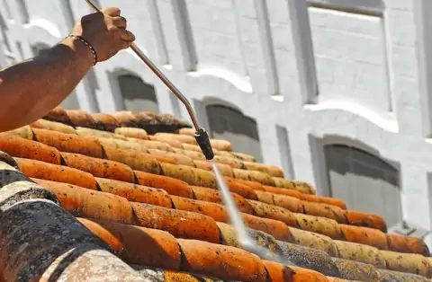 Nettoyage de toitures - Beaulieu-sur-Layon